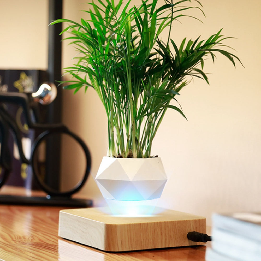 Levitating Air Bonsai Rotating Flower Pot