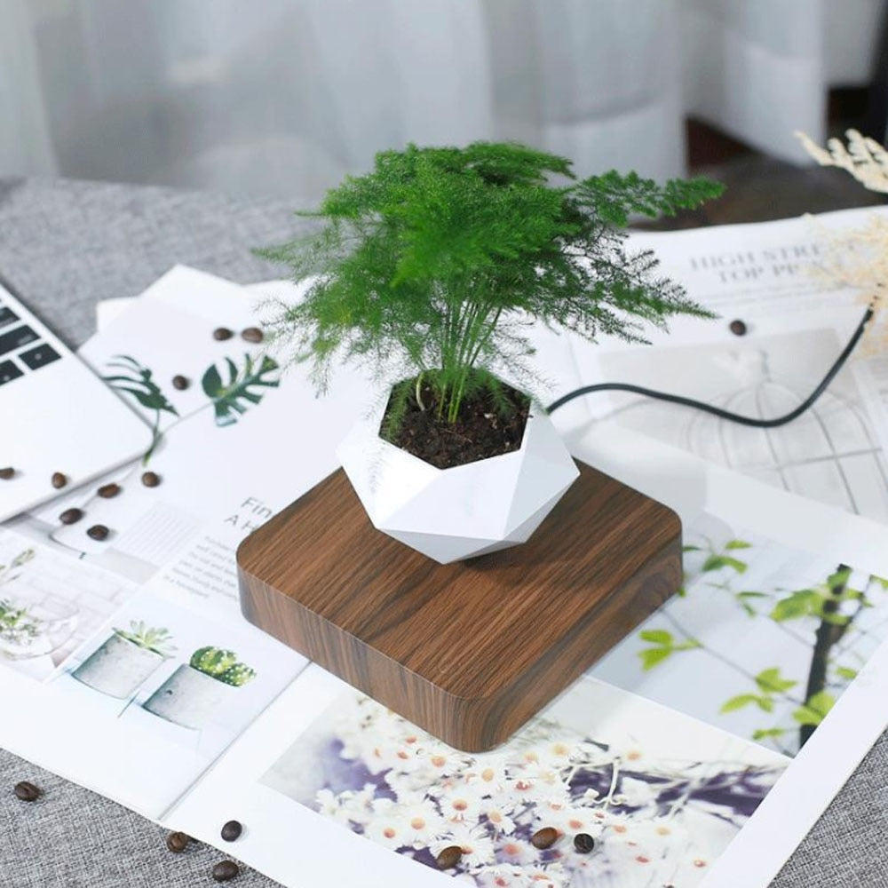 Levitating Air Bonsai Rotating Flower Pot