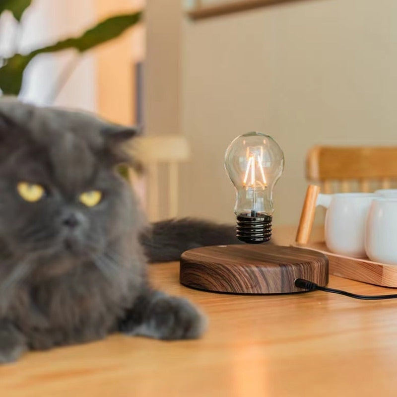 The Creativity Magnetic Levitation Floating Glass LED Bulb