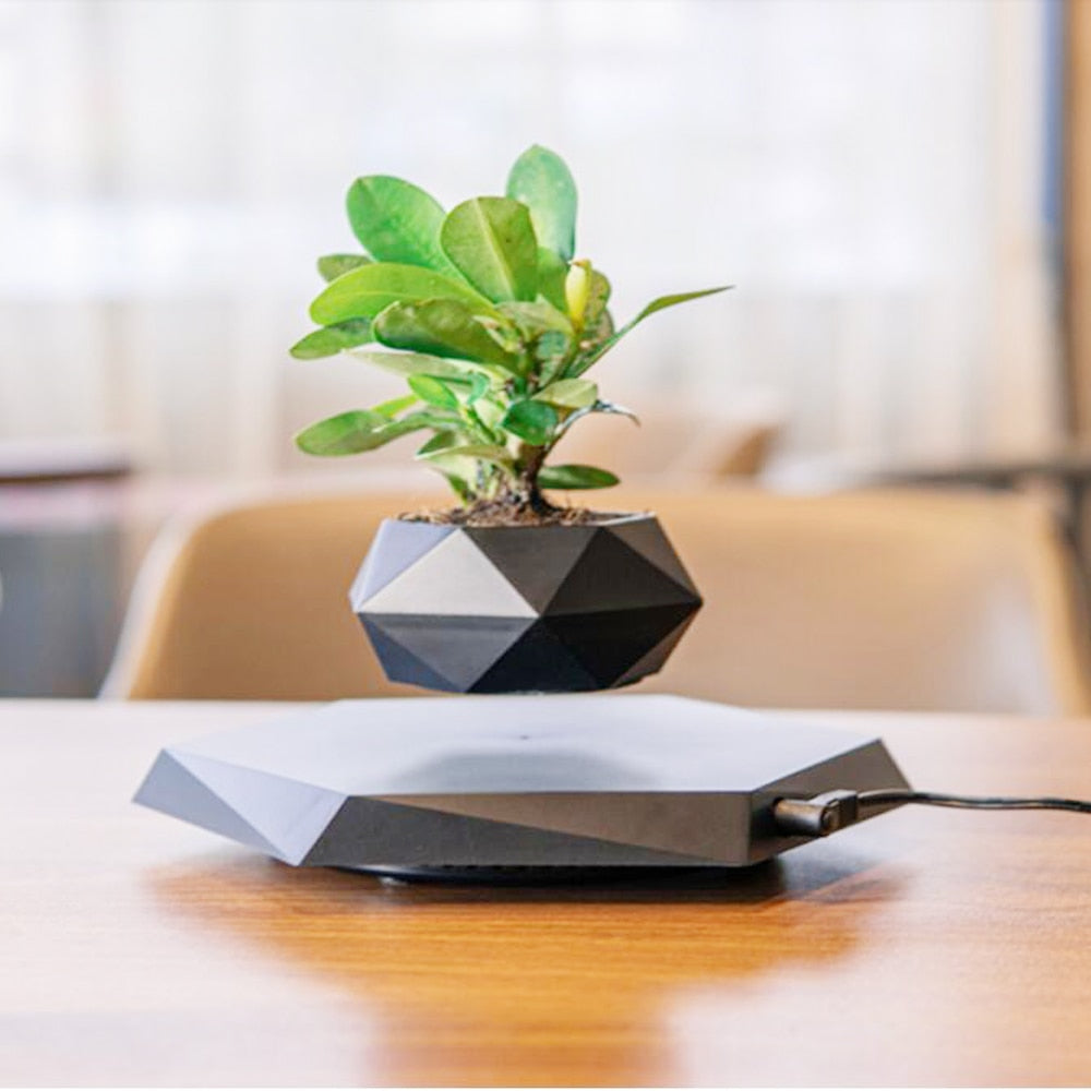 Levitating Air Bonsai Rotating Flower Pot